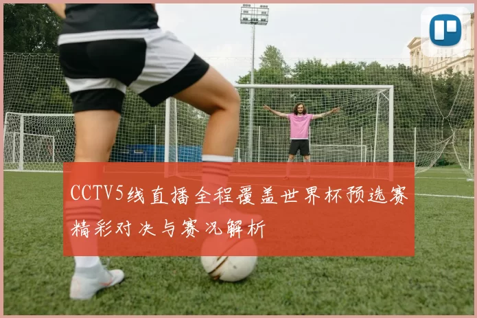 CCTV5线直播全程覆盖世界杯预选赛精彩对决与赛况解析