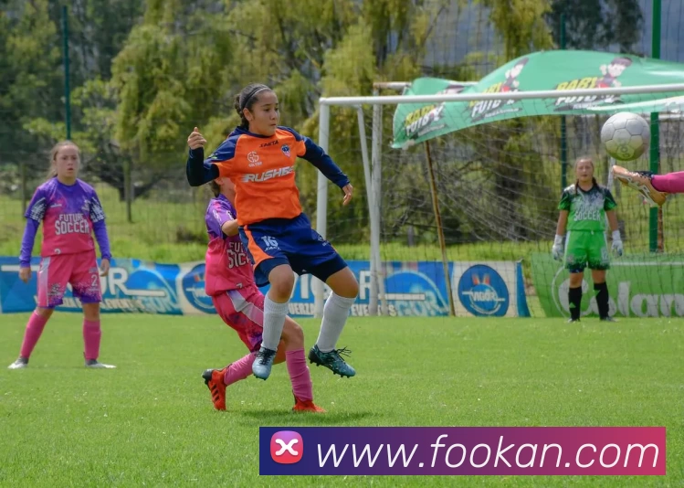 辅助工具 辅助工具